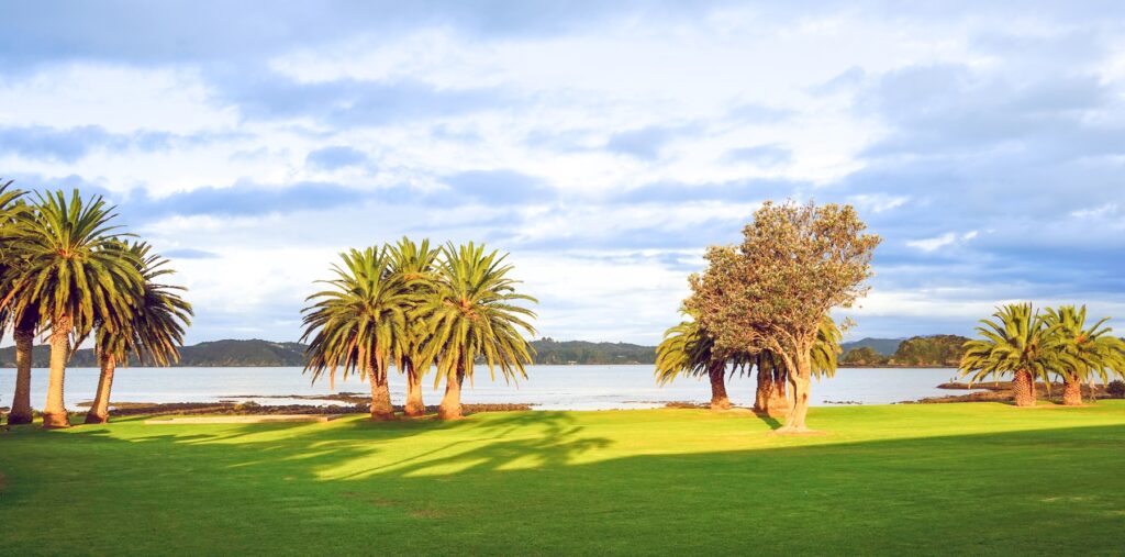 Opua Sailing New Zealand