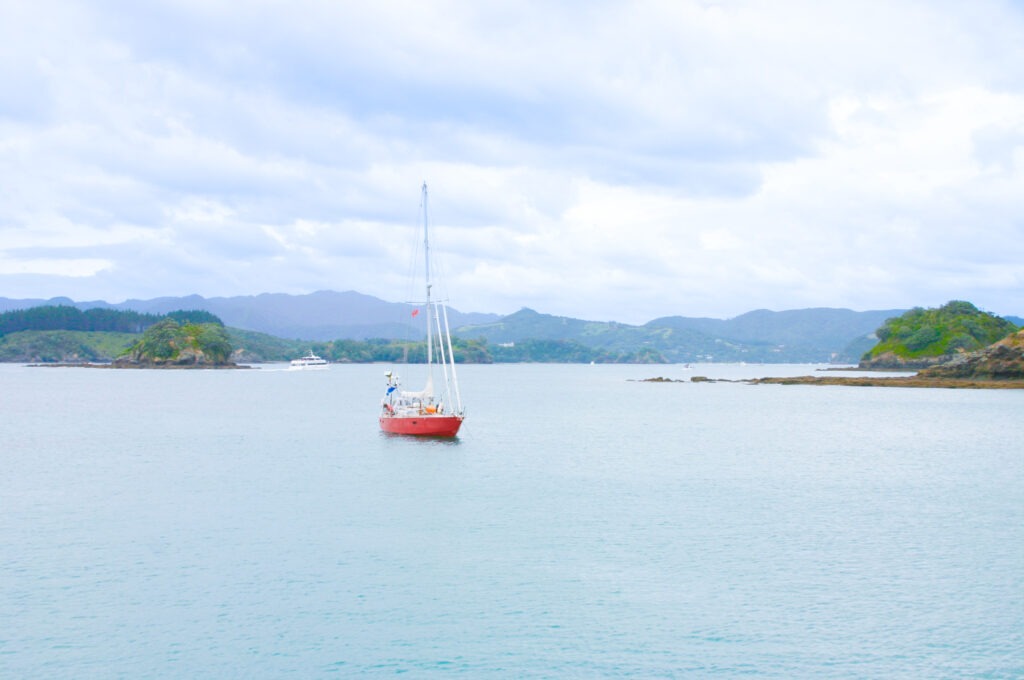 Sailing New Zealand