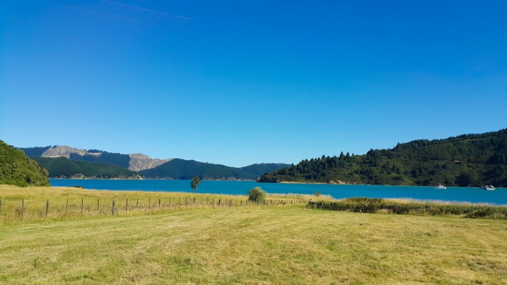 New Zealand Sailing