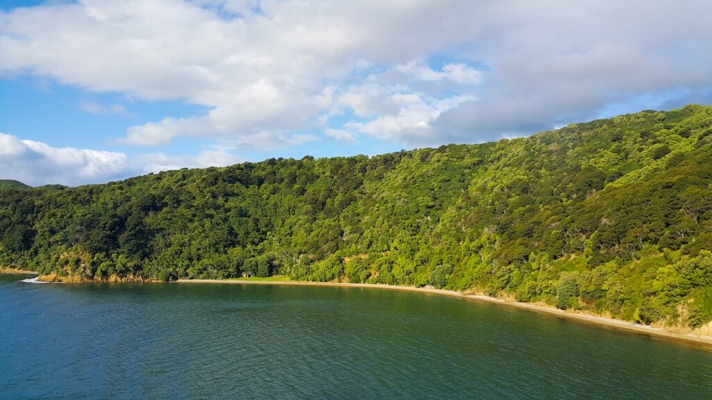 Marlborough Sounds Sailing