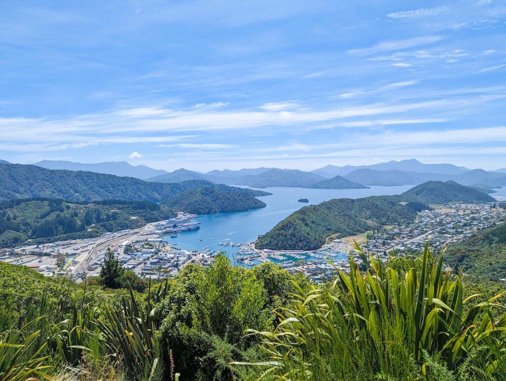 Picton Sailing