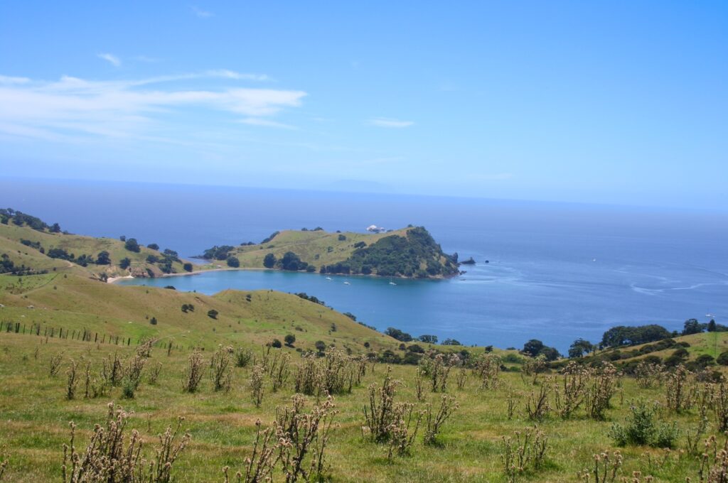 Waiheke Island Sailing