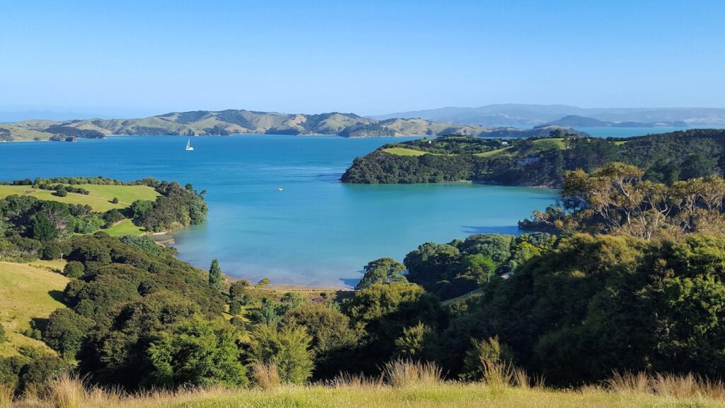Coromandel Sailing