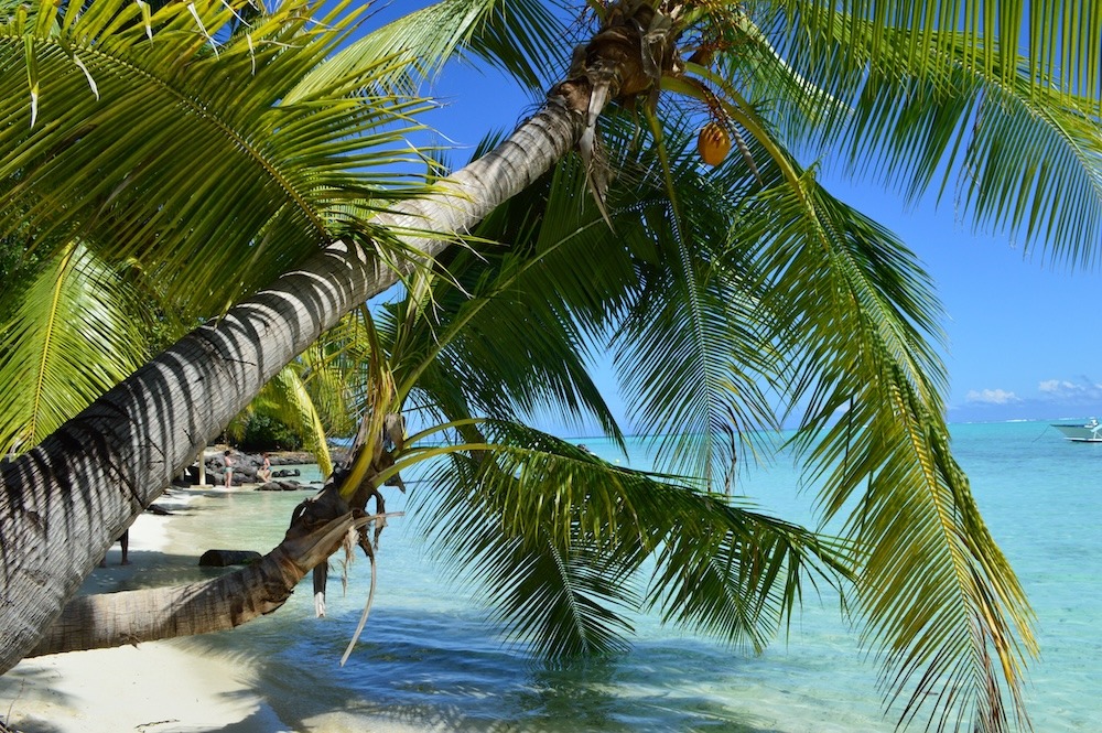 Tahiti vacation sailing