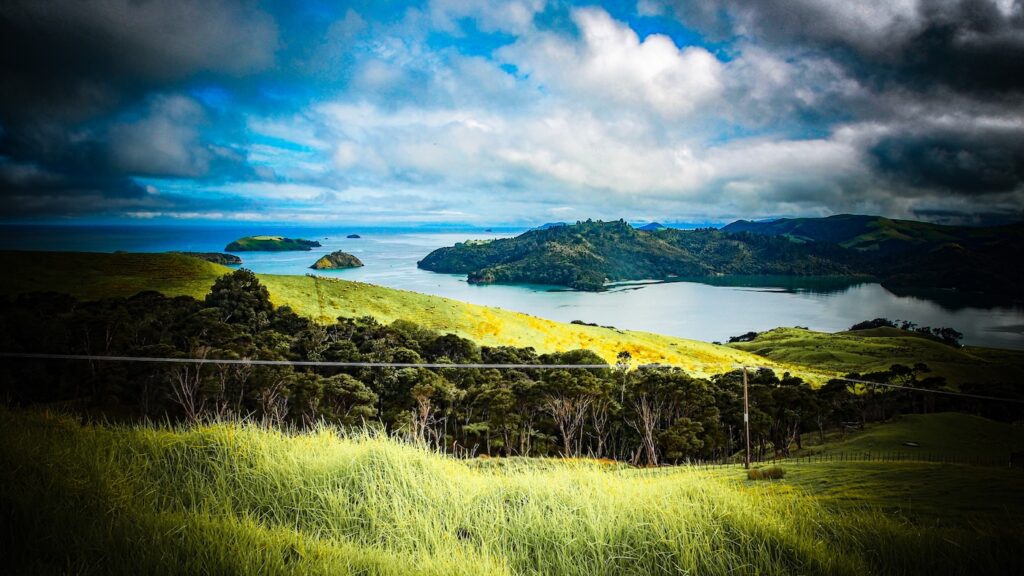 New Zealand Sailing
