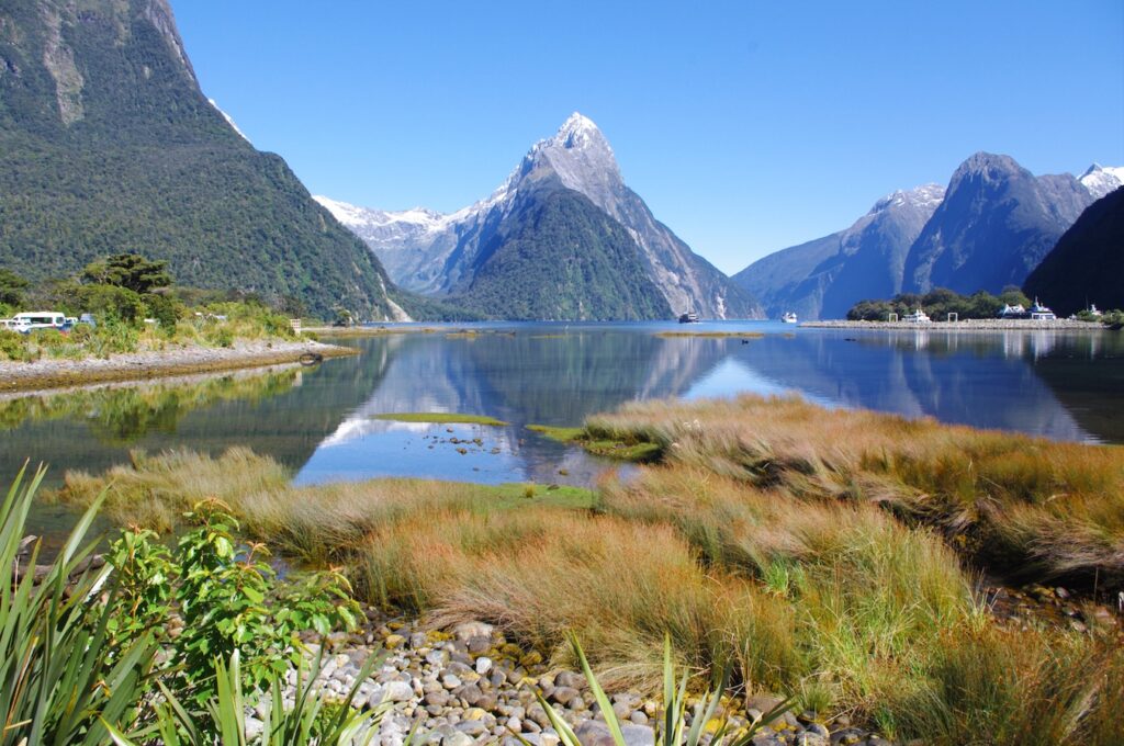 New Zealand Sailing